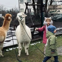 Kiermasz Wielkanocny 2026 - fotorelacja