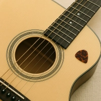 grupa G1